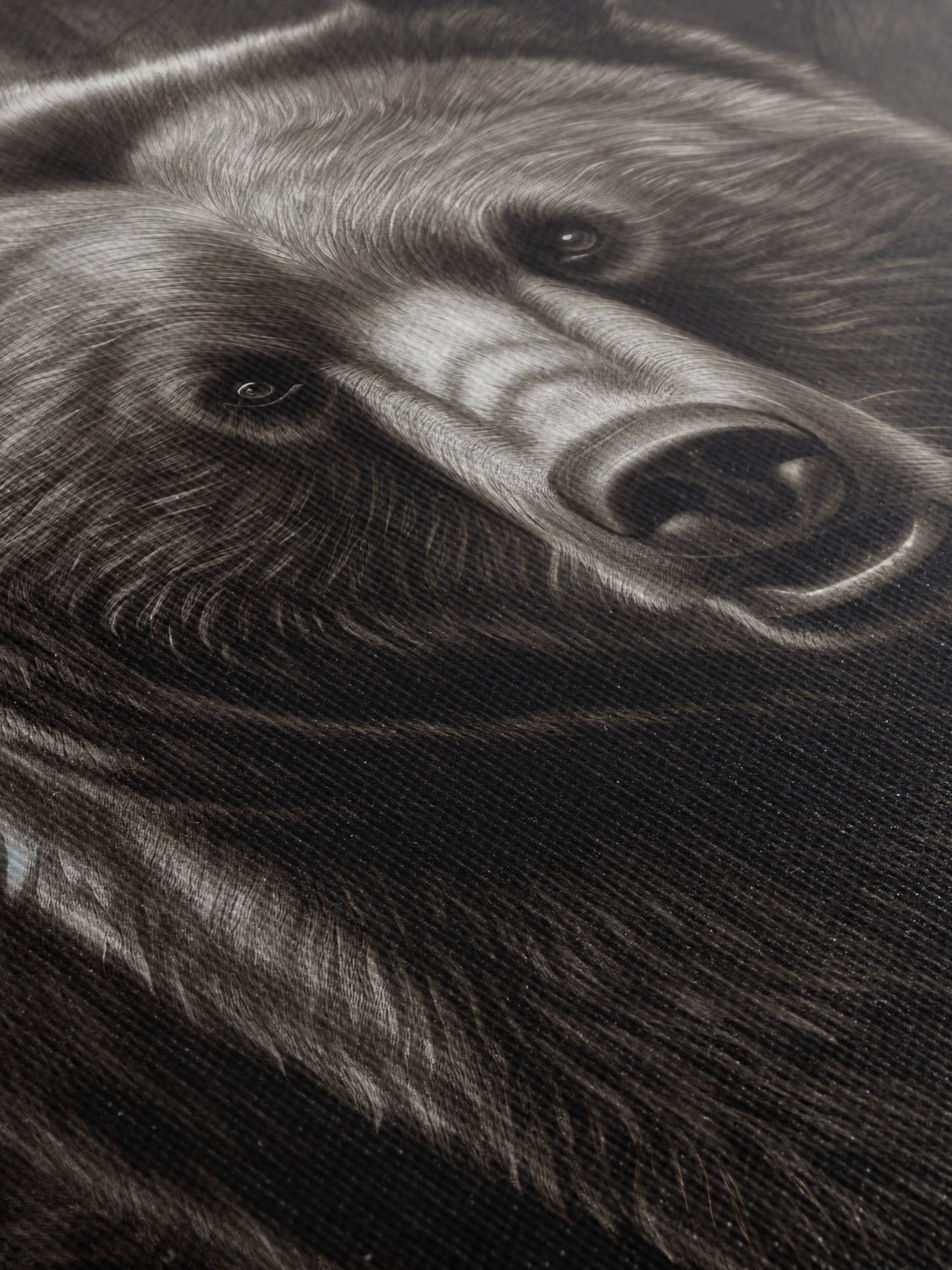 Black Bear - Canvas