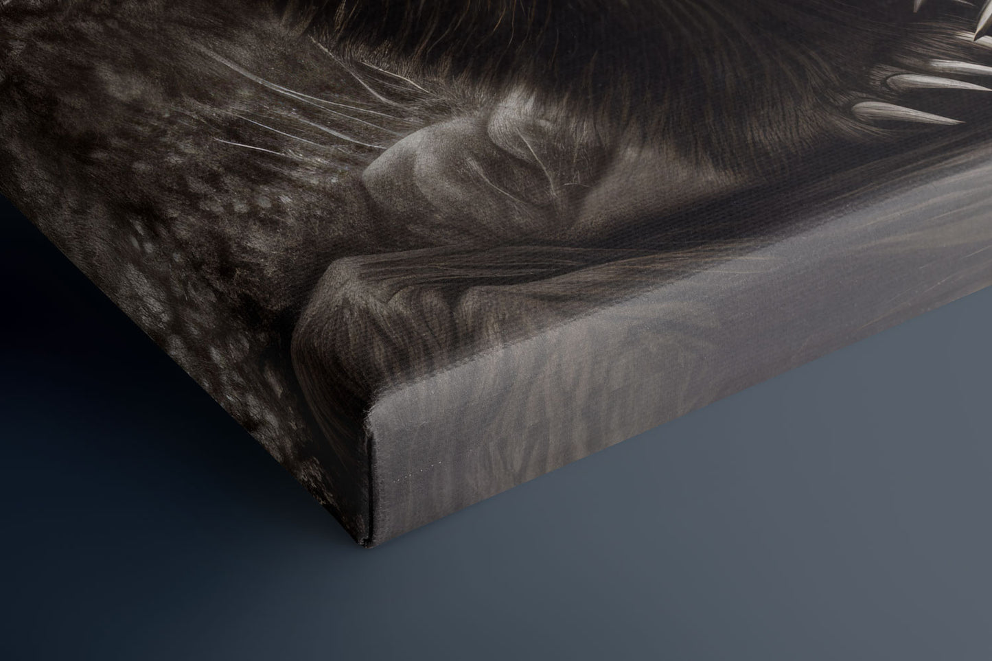 Black Bear - Canvas