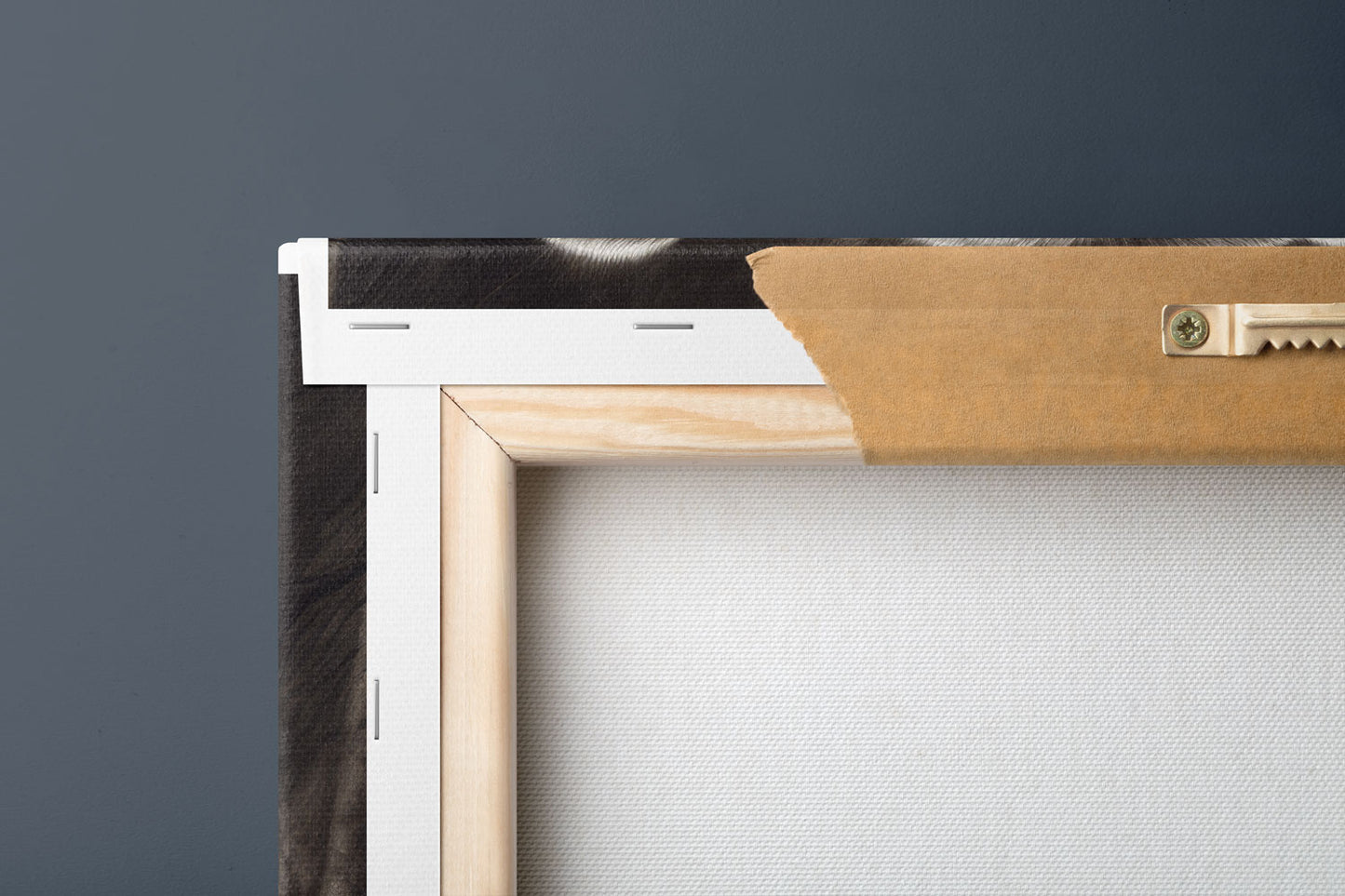 Black Bear - Canvas