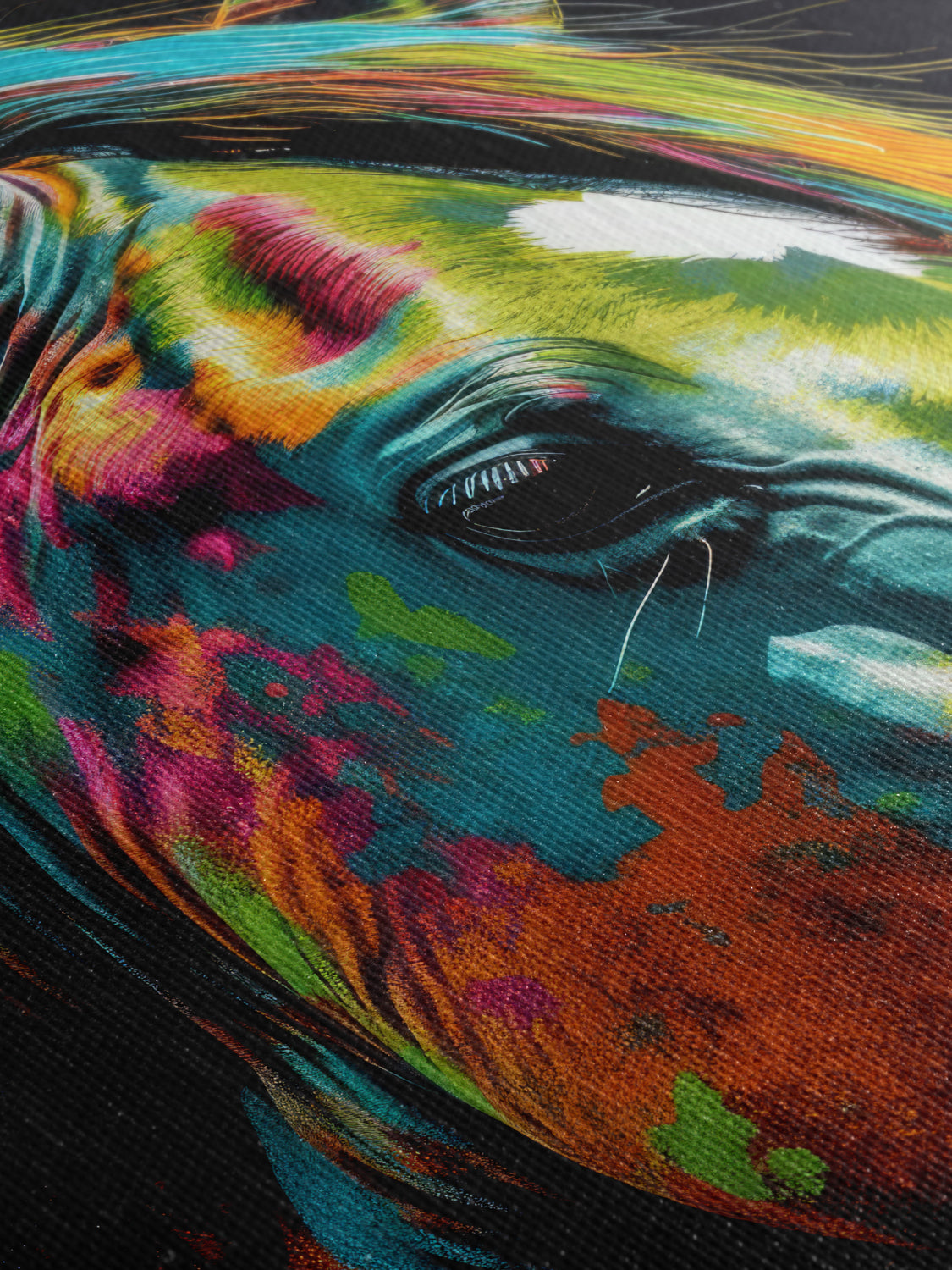 Colorful - Canvas