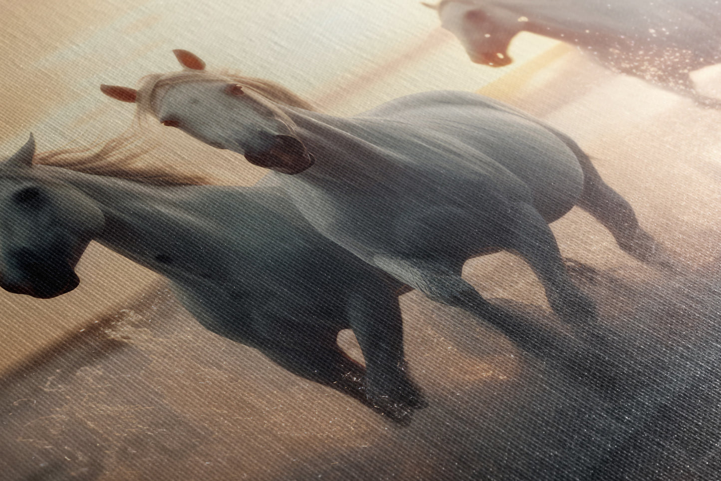 Freedom - Canvas