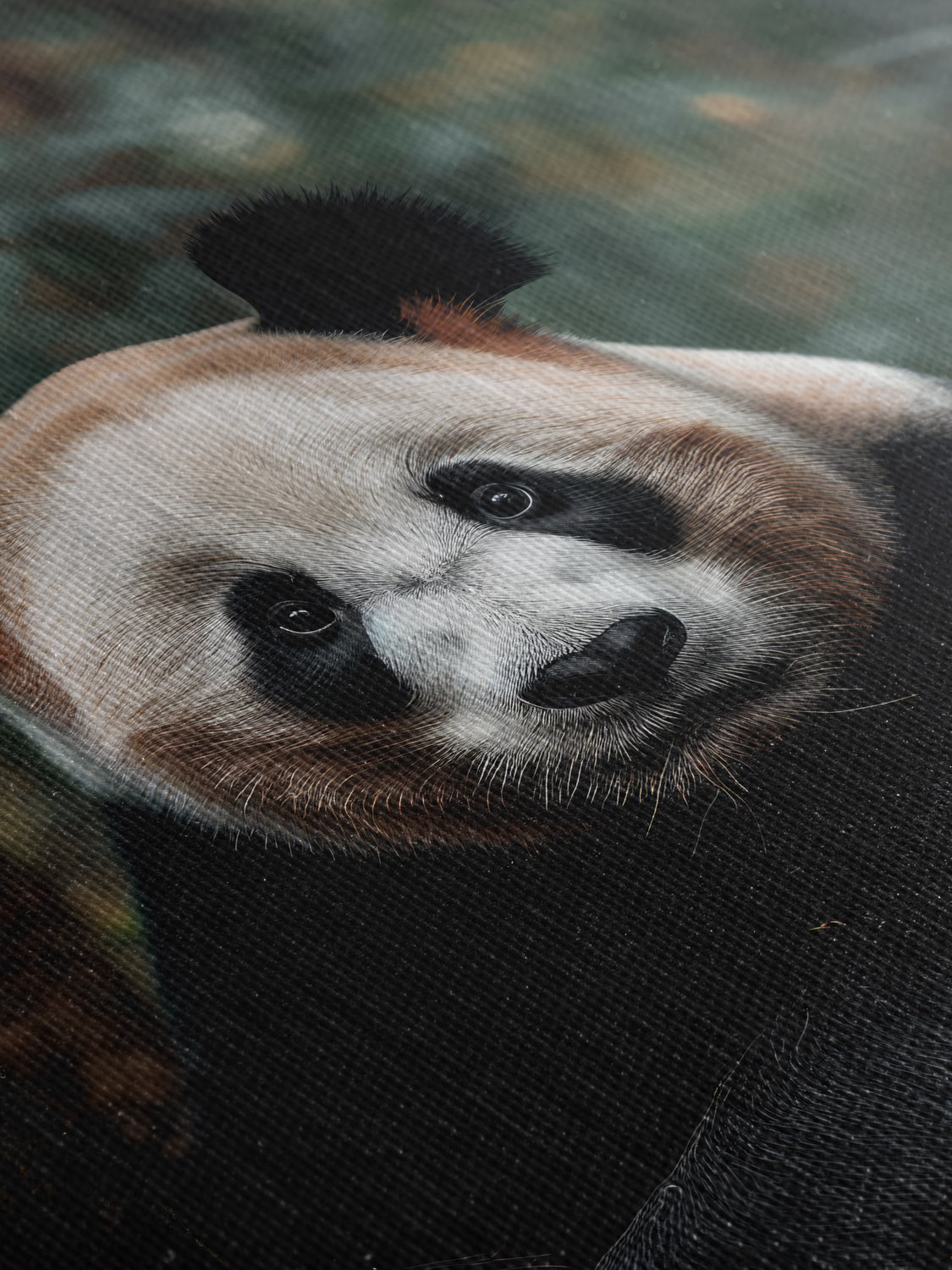 Panda Bear - Canvas
